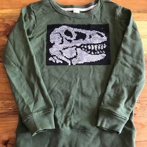 Kids Dinosaur Sweatshirt
